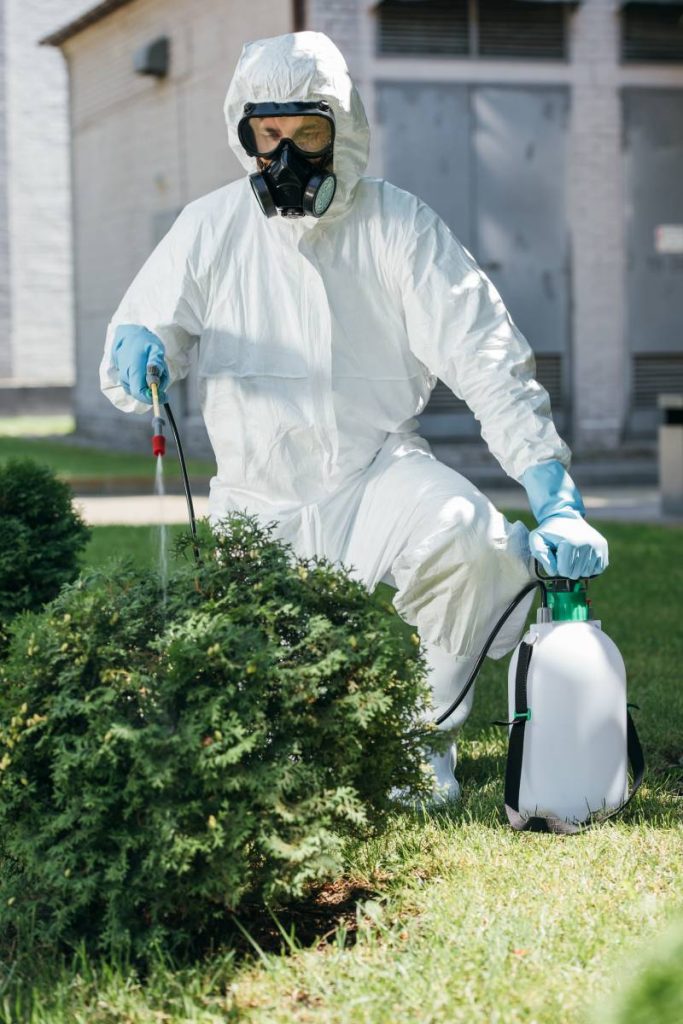 pest control worker in uniform spraying pesticides on bush