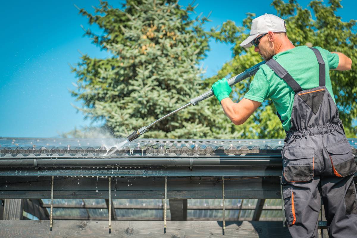 Should You Clean Your Roof? Is It Important / Worth the Money?