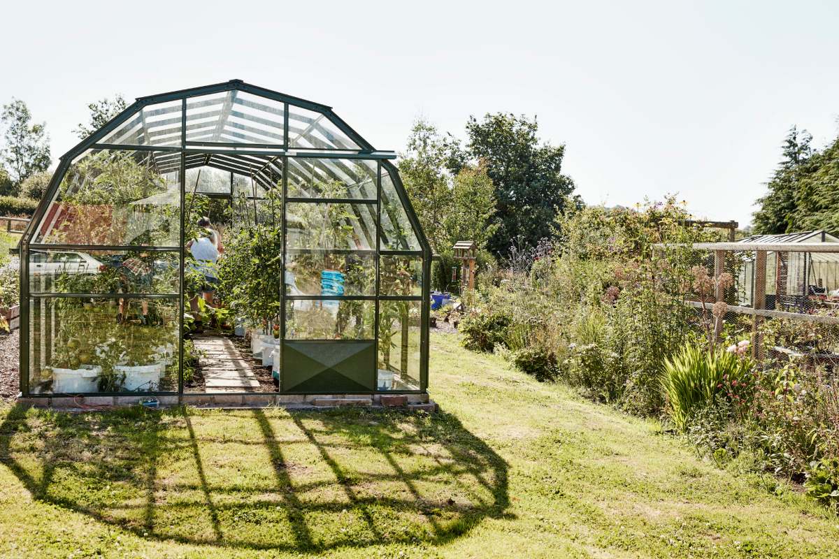 How to Build a Greenhouse? Cost of Building a Greenhouse in Australia?